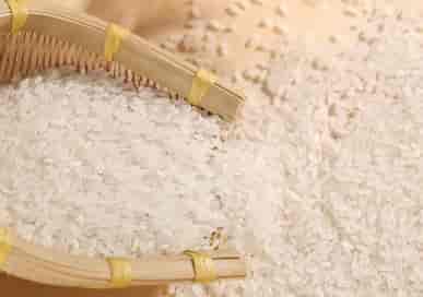 摄图网_500507161_wx