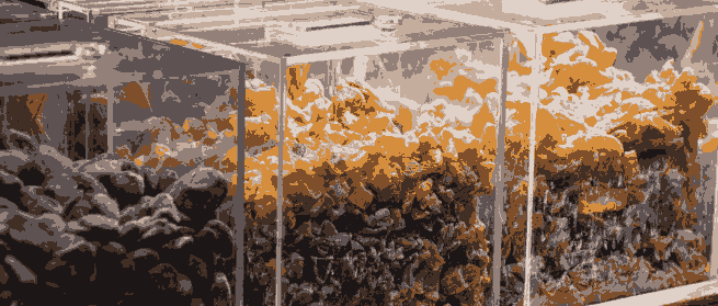 01741302109ec498a71d9501bbaaddfa